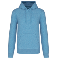 Cloudy blue heather
