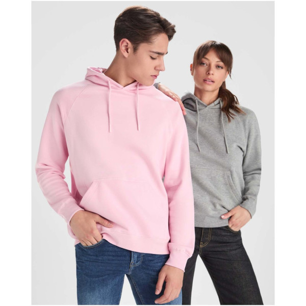 Vinson 300 g/m² Kapuzenpullover aus Bio-Baumwolle Unisex