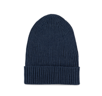 Insignia Blue